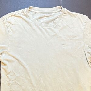 American Eagle Outfitters Men's Crew Neck Tee in Sage Green